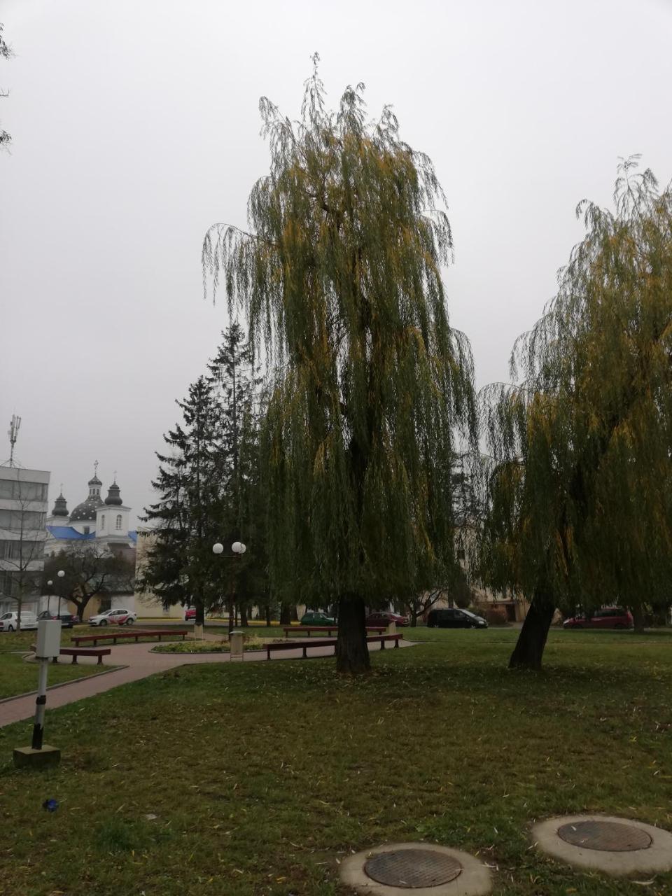 Apartment Na Zamkovoy Grodno Buitenkant foto